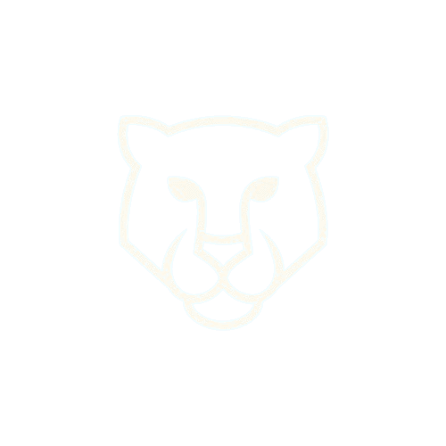 TigerFlow Logo